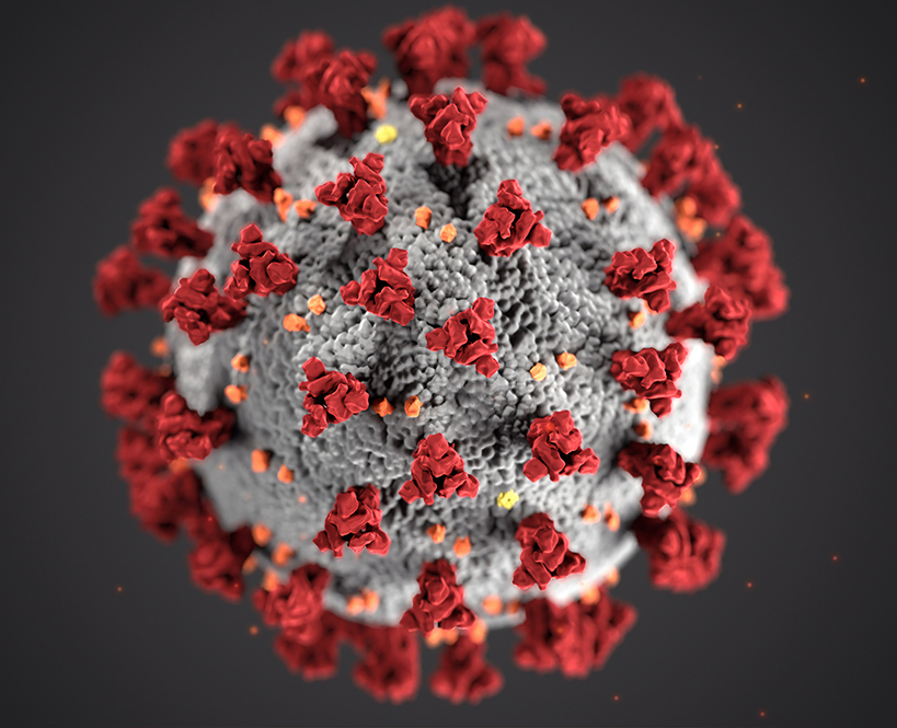 A depiction of the COVID-19 virus