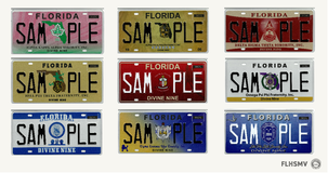 An image showing nine sample license plates.