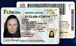 Picture of new Florida Driver License